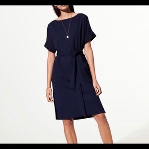 Aritzia Babaton dress
